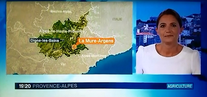 JT France 3 - Août 2016